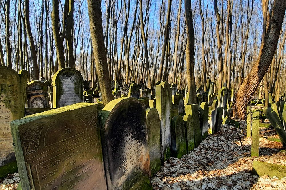 6 lugares Varsovia Judia 6 places Jewish Warsaw