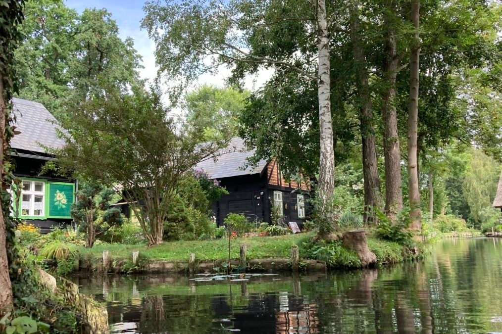 5 Atracciones cerca de Berlín - lugares que visitar Spreewald excursion